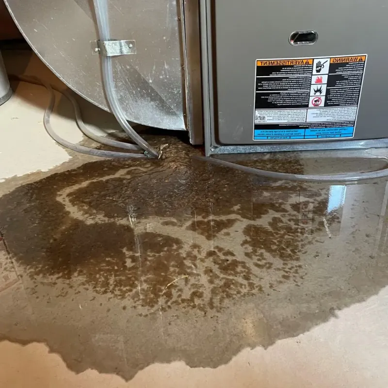 Pipe Burst and Leak Restoration in Ocean Pointe, HI